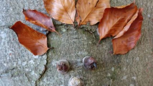 <strong><strong></strong><br/>Sunshine on the tarpaulin.</strong><br/>Creativity and imagination using natural materials.