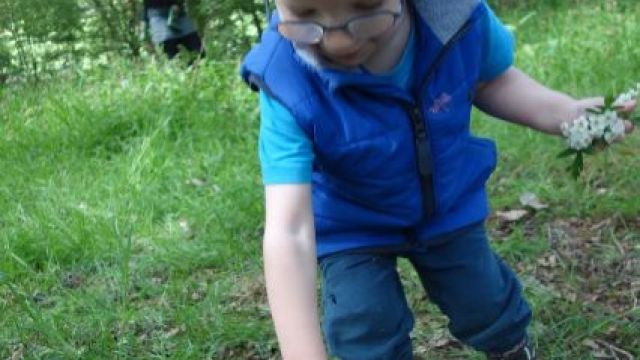 <strong><strong><strong><strong><strong><strong><strong></strong><br/>Sunshine on the tarpaulin.</strong><br/>Creativity and imagination using natural materials.</strong><br/>Working together to create a web during reflection time.</strong><br/>Bug hunting.</strong><br/>Leaf identification.</strong><br/>Using a striker and fire steel to create sparks.</strong><br/>Hawthorn blossom tea.