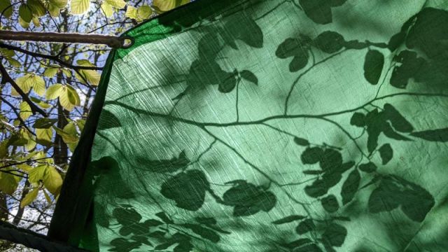 <strong></strong><br/>Sunshine on the tarpaulin.