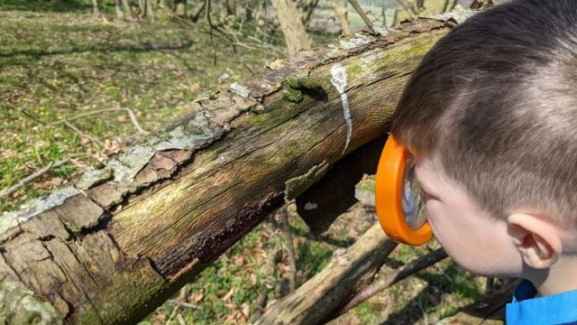 <strong><strong><strong><strong></strong><br/>Sunshine on the tarpaulin.</strong><br/>Creativity and imagination using natural materials.</strong><br/>Working together to create a web during reflection time.</strong><br/>Bug hunting.