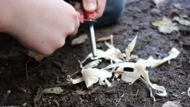 <strong><strong><strong><strong><strong><strong></strong><br/>Sunshine on the tarpaulin.</strong><br/>Creativity and imagination using natural materials.</strong><br/>Working together to create a web during reflection time.</strong><br/>Bug hunting.</strong><br/>Leaf identification.</strong><br/>Using a striker and fire steel to create sparks.